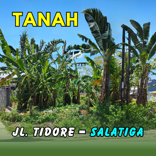 tanah tidore salatiga 500